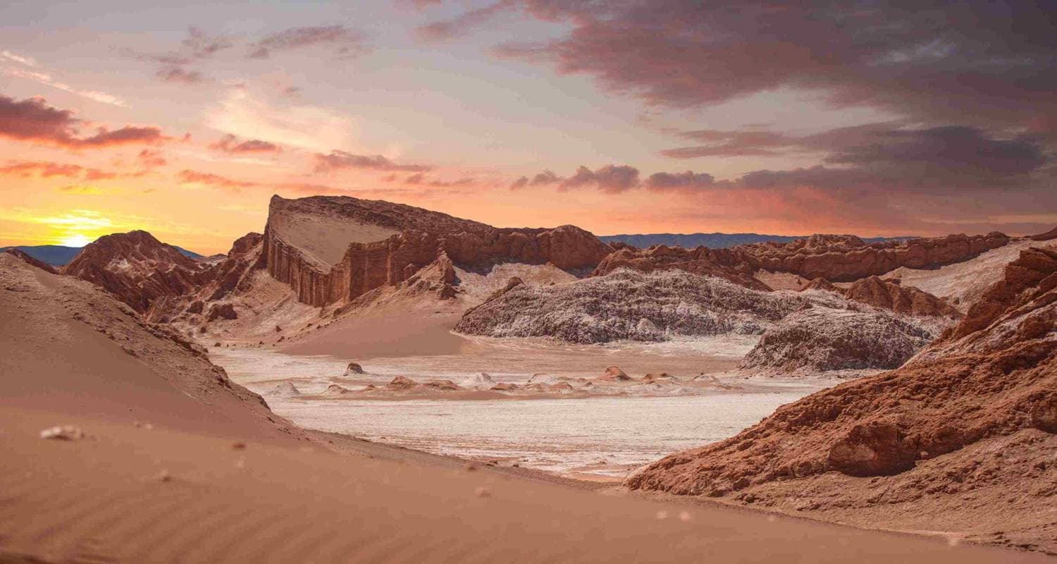 Panaches de vapeur s'élevant des Geysers del Tatio à l'aube