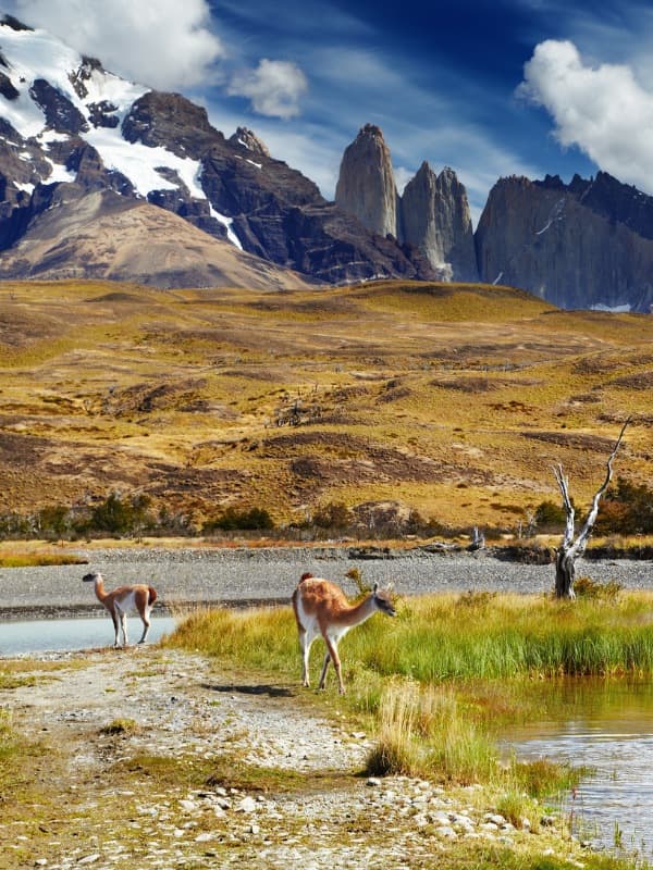 Montañas Torres del Paine